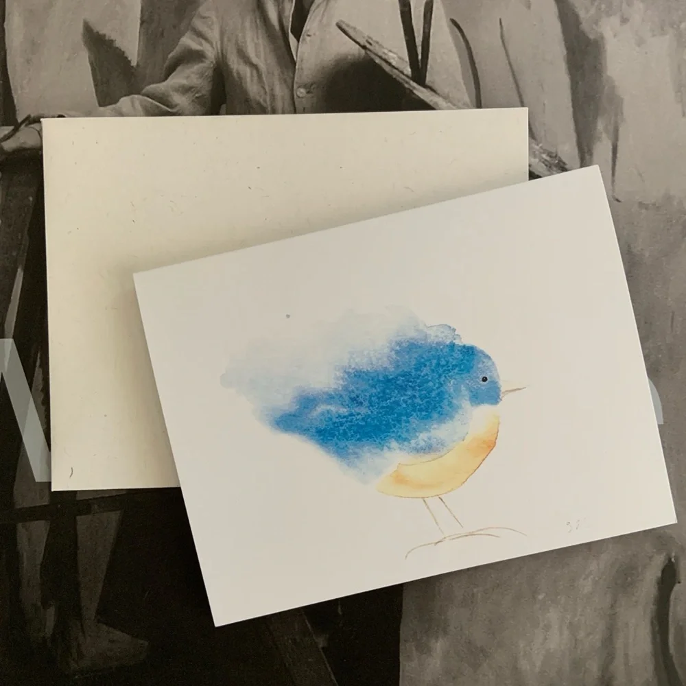 Boxed Set of 6 Note Cards. Whimsy Bluebird SKU 178